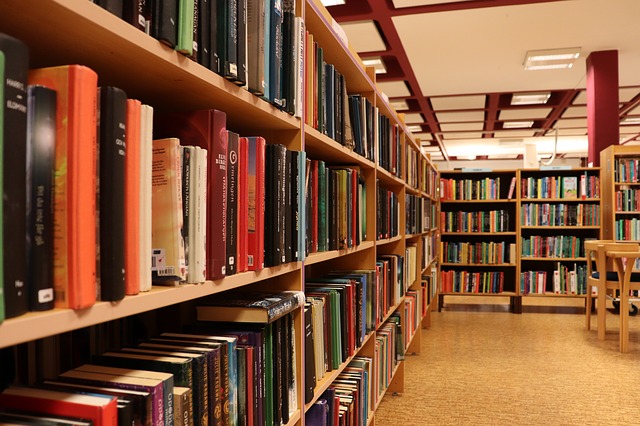 biblioteca scrittori calabresi San Mango d'Aquino Bic biblioteche