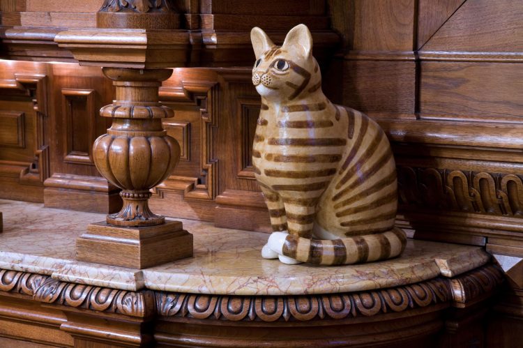 I musei più strani del mondo: il Kattenkabinet, il Museo del Gatto di Amsterdam