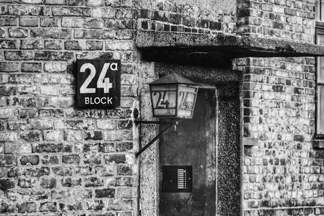 Giorno della Memoria, 13 libri che raccontano la Shoah