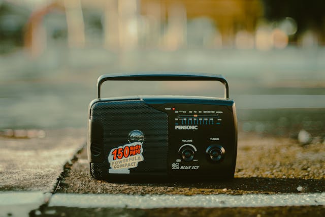 Ascolti radio 2024