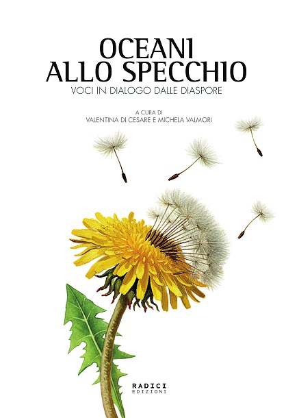 Arriva in libreria “Oceani allo specchio”, 24 voci dalla diaspora
