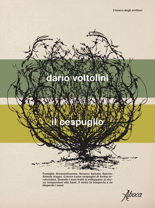 Recensioni: “Il cespuglio” di Dario Voltolini